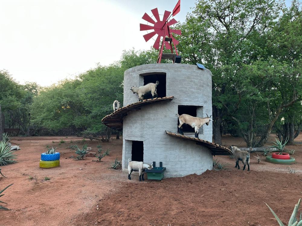 Goat tower attraction